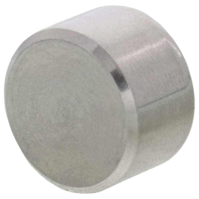 1/4" Type 316 Stainless Steel End Cap for Capping Hex Nut
