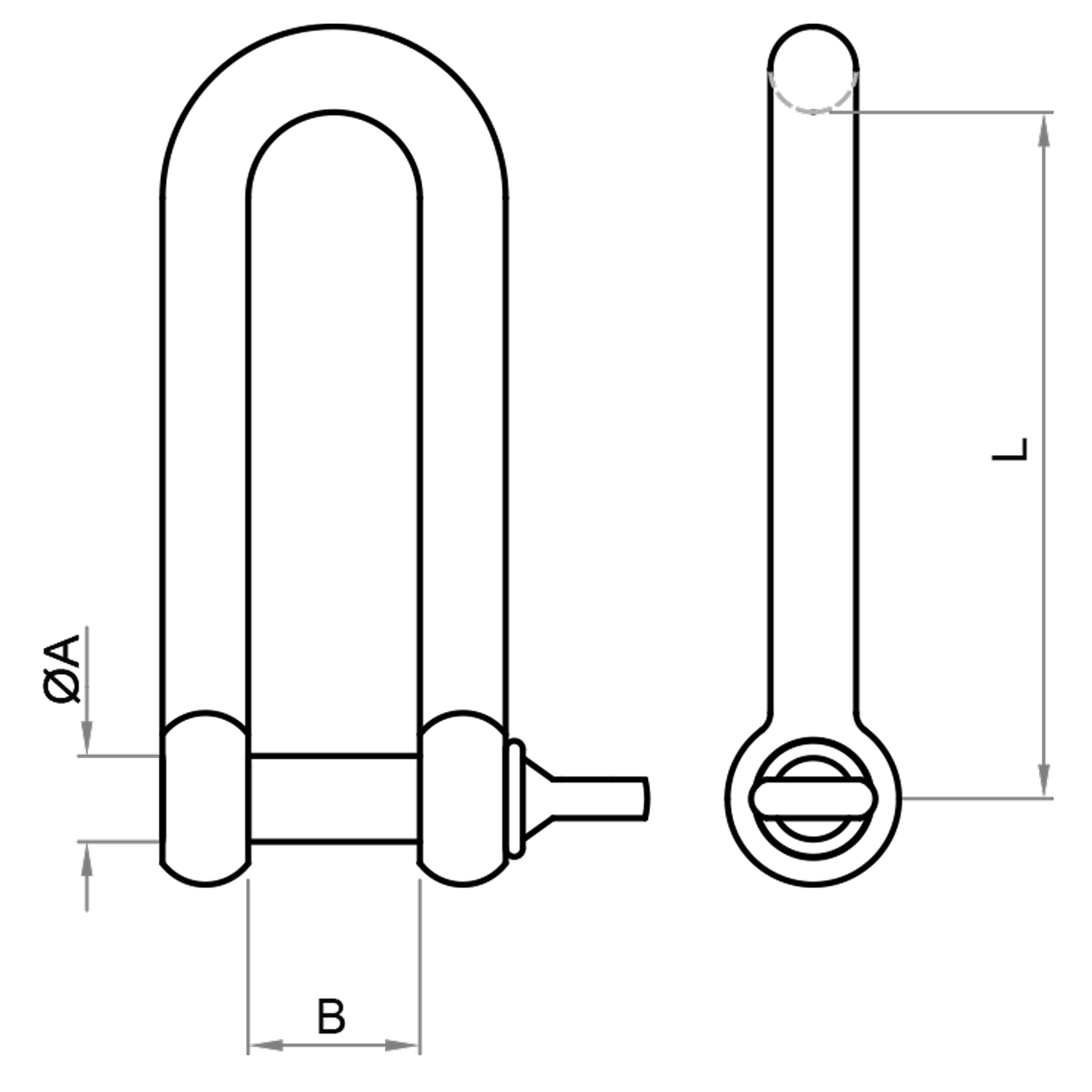 Type 316 Stainless Steel Screw Pin Long D Shackle