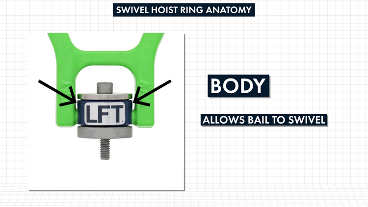 SWIVEL_HOIST_RINGS_101_anatomy_body SWIVEL_HOIST_RINGS_101_anatomy_body
