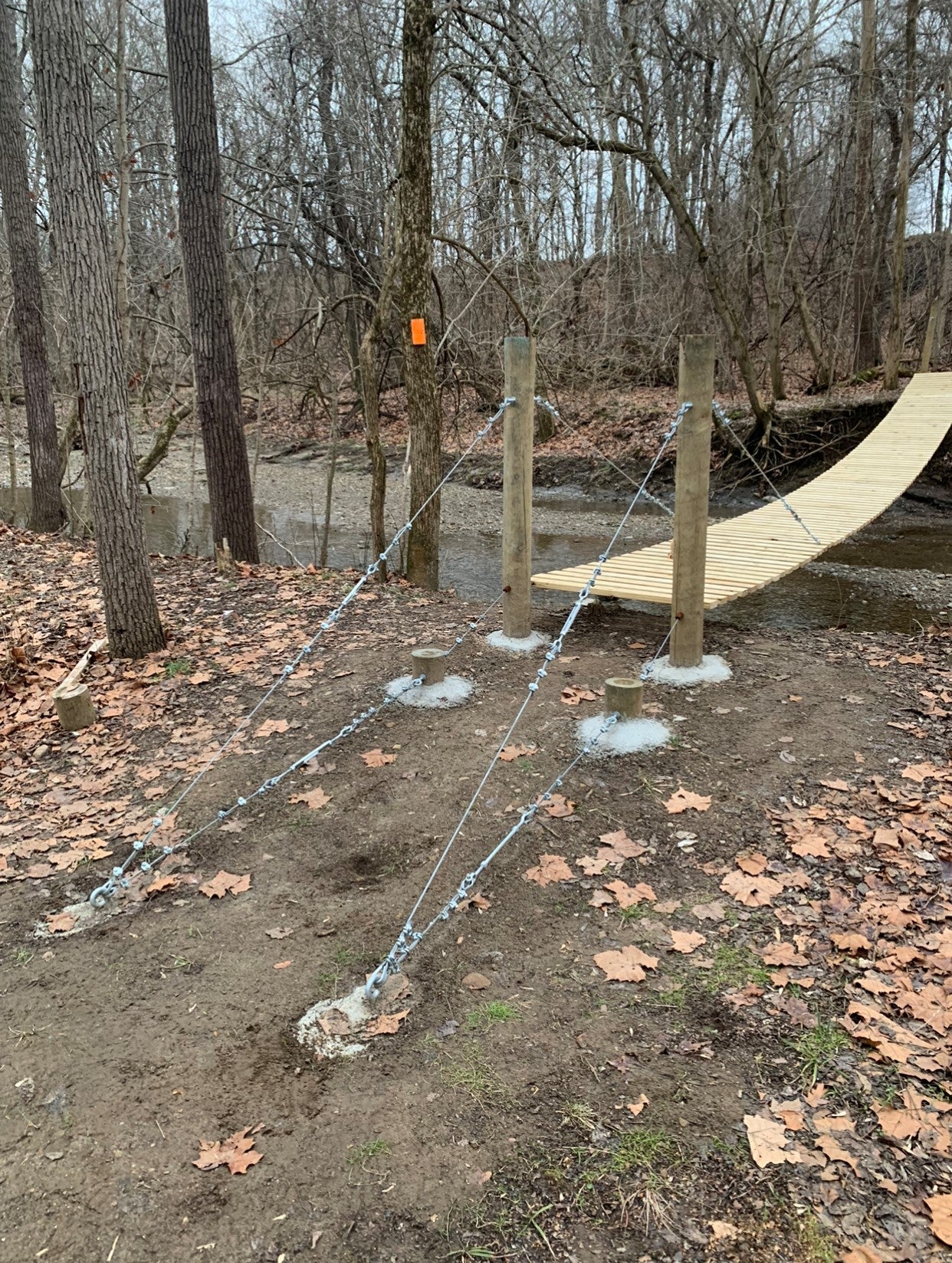 bridge_with_crossing_path bridge_with_crossing_path