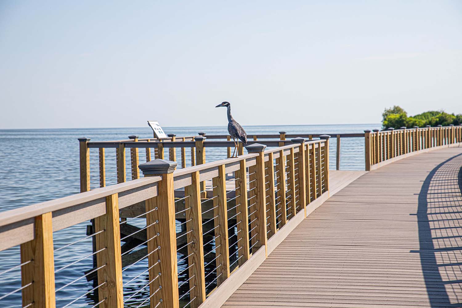 ucktown-boardwalk-main-1-thumb ucktown-boardwalk-main-1-thumb