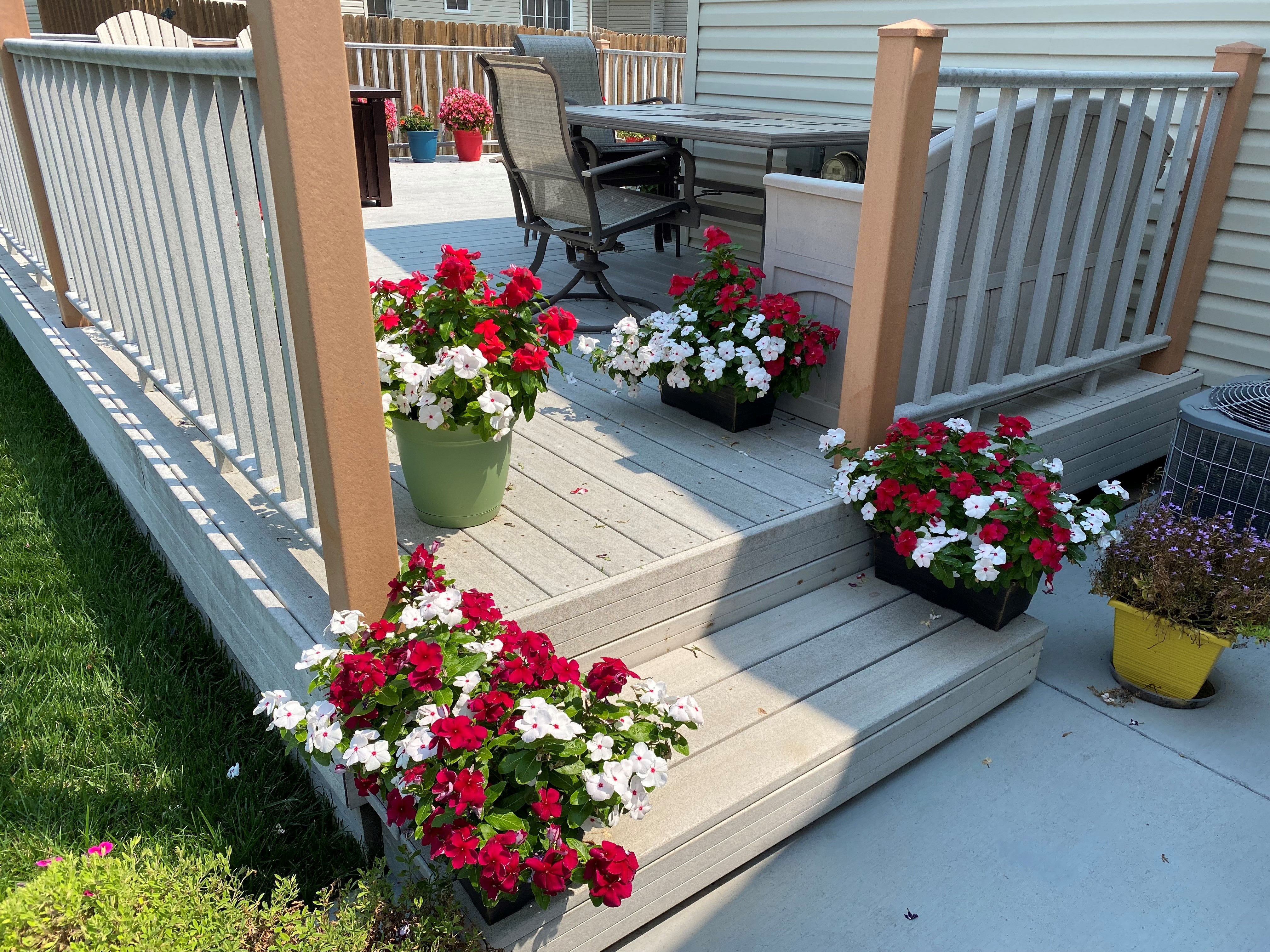 Deck Before View July 2022