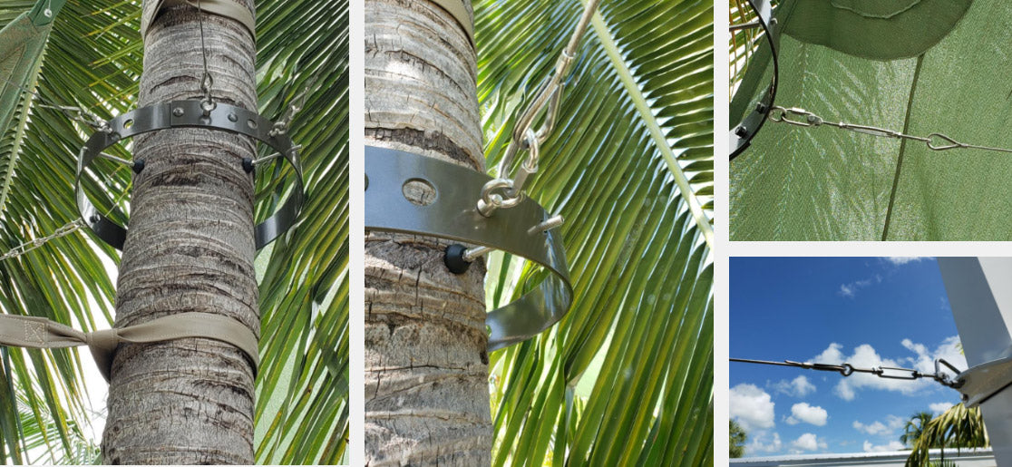 Palm tree collage Palm tree collage