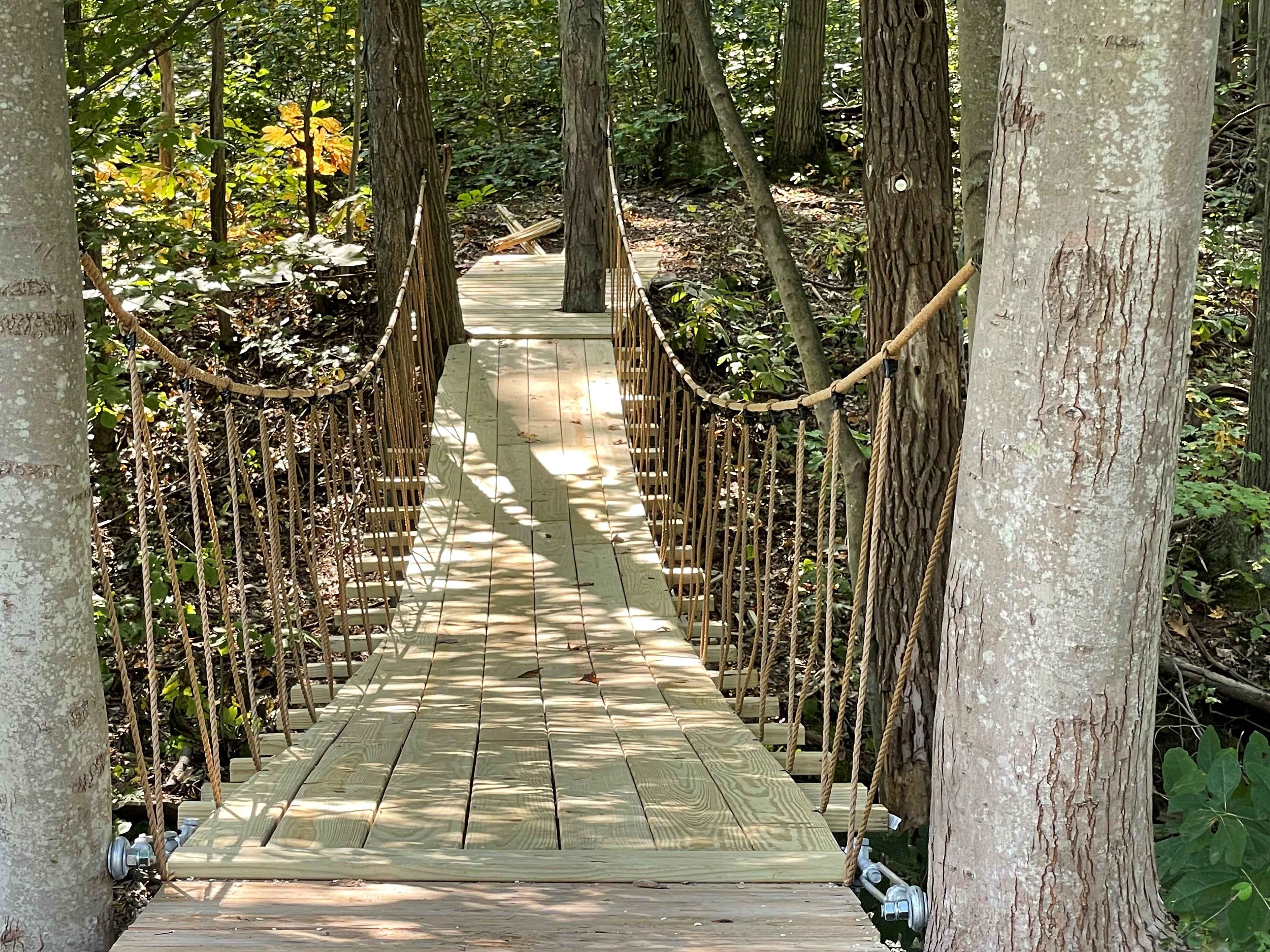 Bridge with rope Bridge with rope