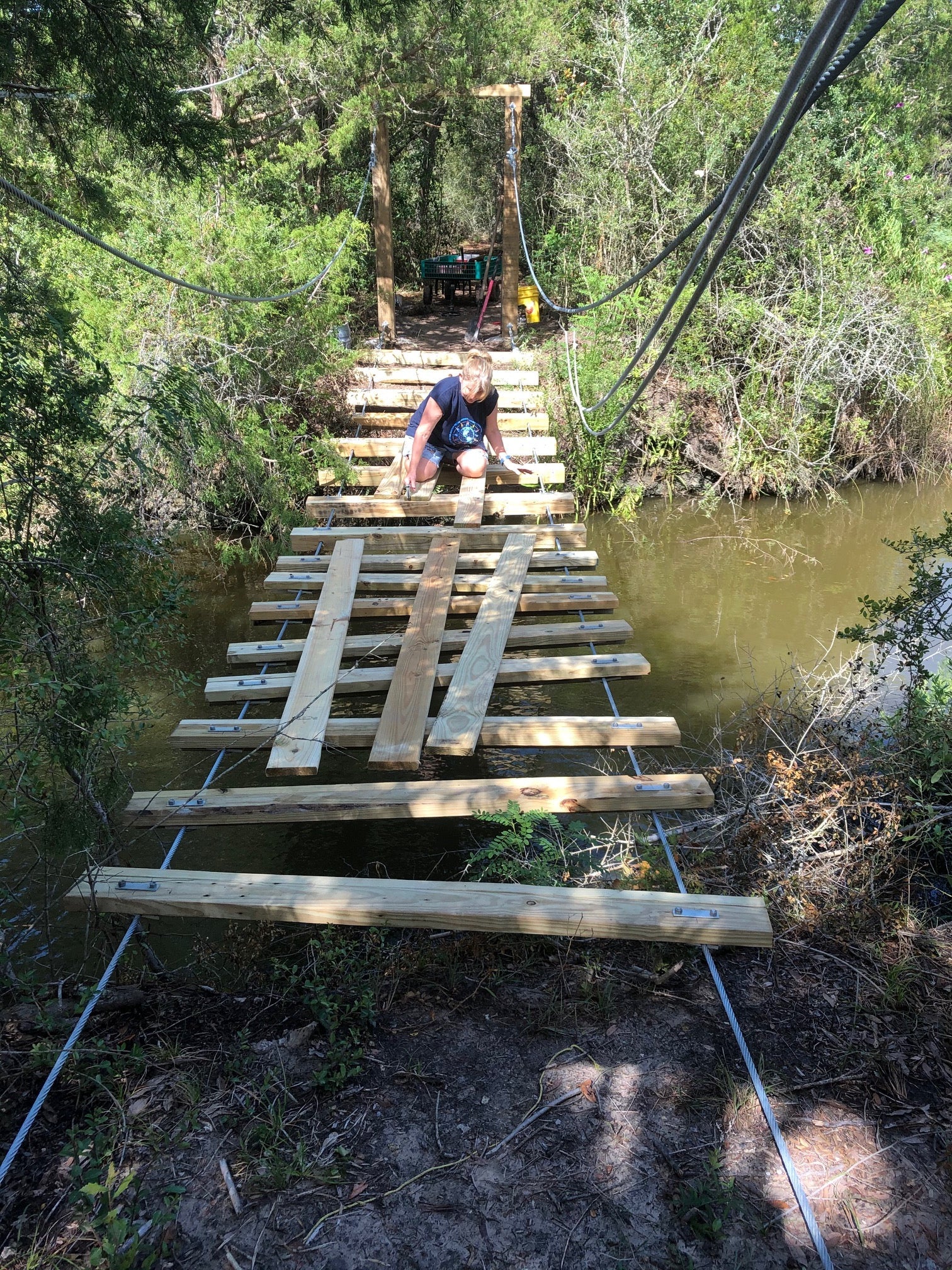 Bridge and Cables Bridge and Cables