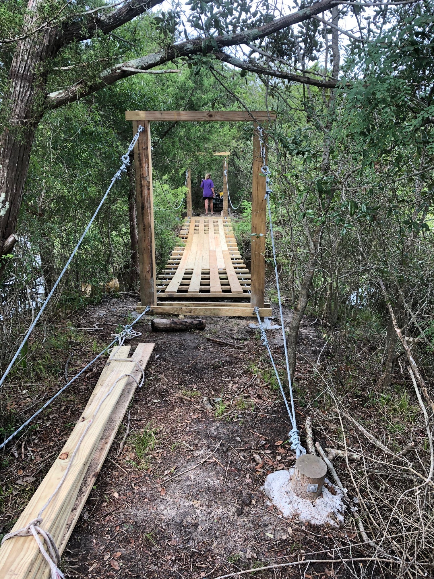Bridge and Cables Bridge and Cables