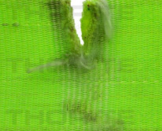 Sling Cuts or Tears Sling Cuts or Tears