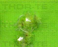 Sling Holes/Punctures Sling Holes/Punctures