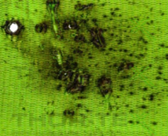 Sling Weld Spatter Sling Weld Spatter