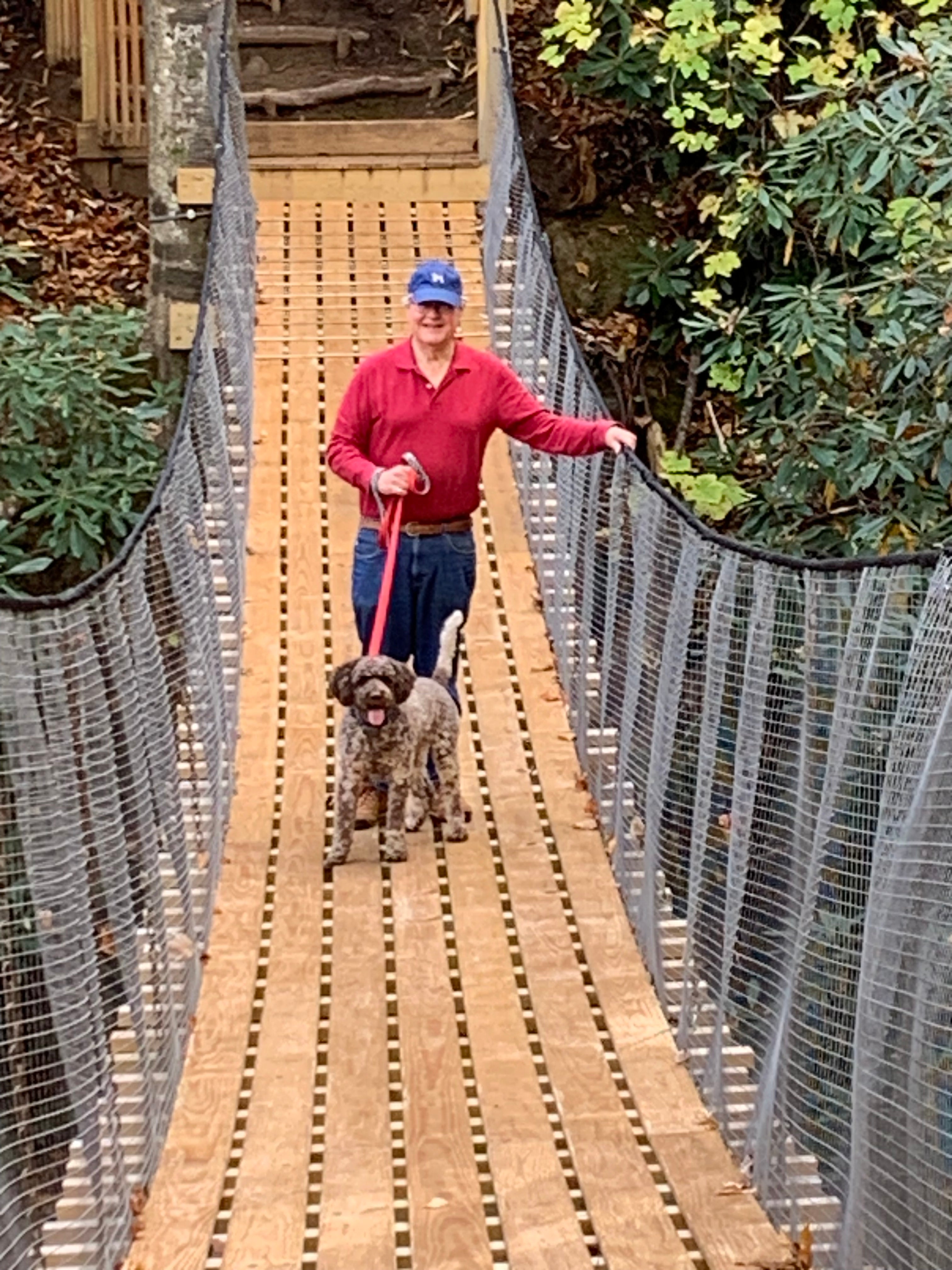 woman and dog on Hot Dip Galvanized Steel Cable suspension bridge