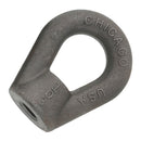 M18 Chicago Hardware Self Colored Heavy Duty Metric Eye Nut