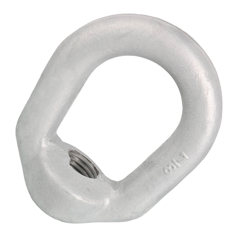 7/8" Hot Dipped Galvanized Eye Nut with 1"-8 UNC Tap